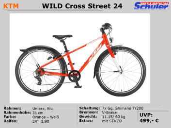 Haibike X-Duro Allmtn 1 Fully