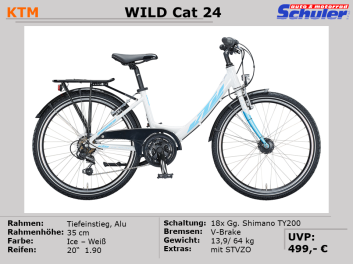 Haibike X-Duro Allmtn 1 Fully